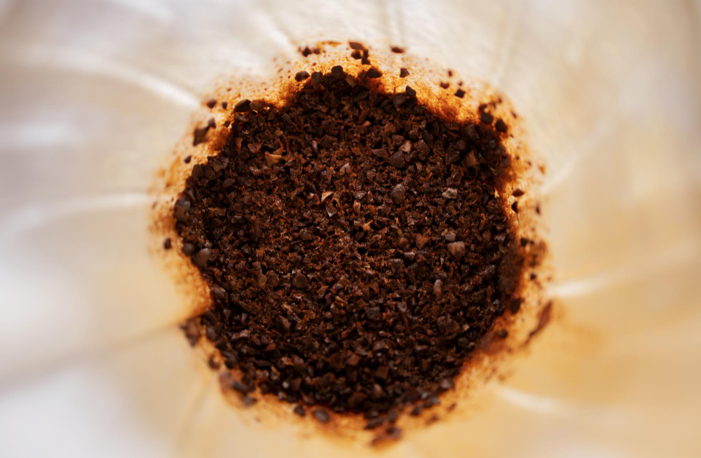 Que faire du marc de café ? : dans un potager?