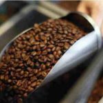 Quel est le café le moins amer?