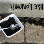 Quelles plantes aiment le marc de café?