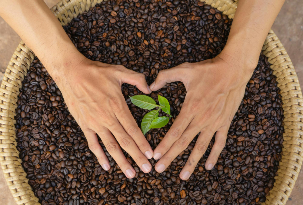 L'Avenir du Café : Vers une Consommation Plus Consciente
