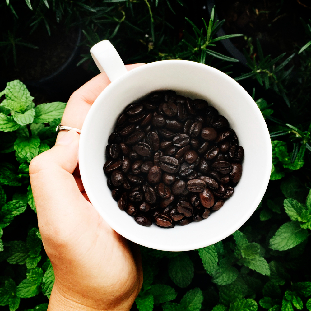 Un Café Durable et Écologique Accessible