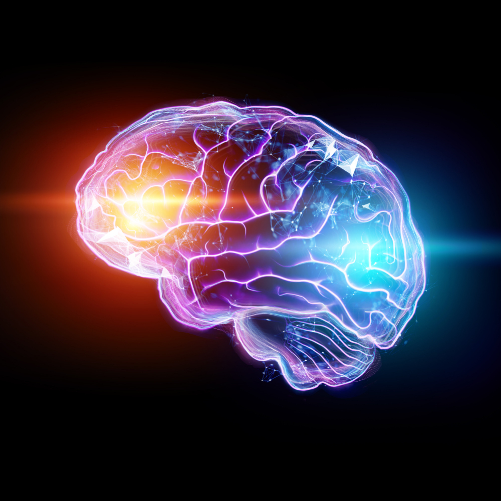 Différence d’effet sur le cerveau